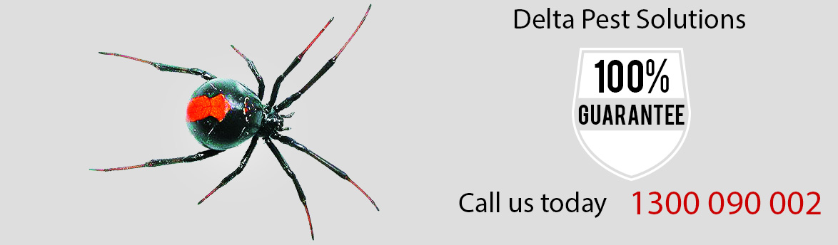 delta Pest Solutions
